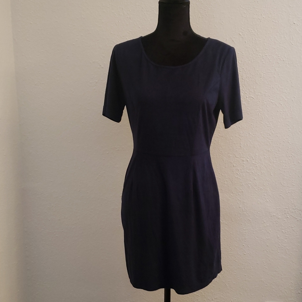 Skies are Blue Petite Dress